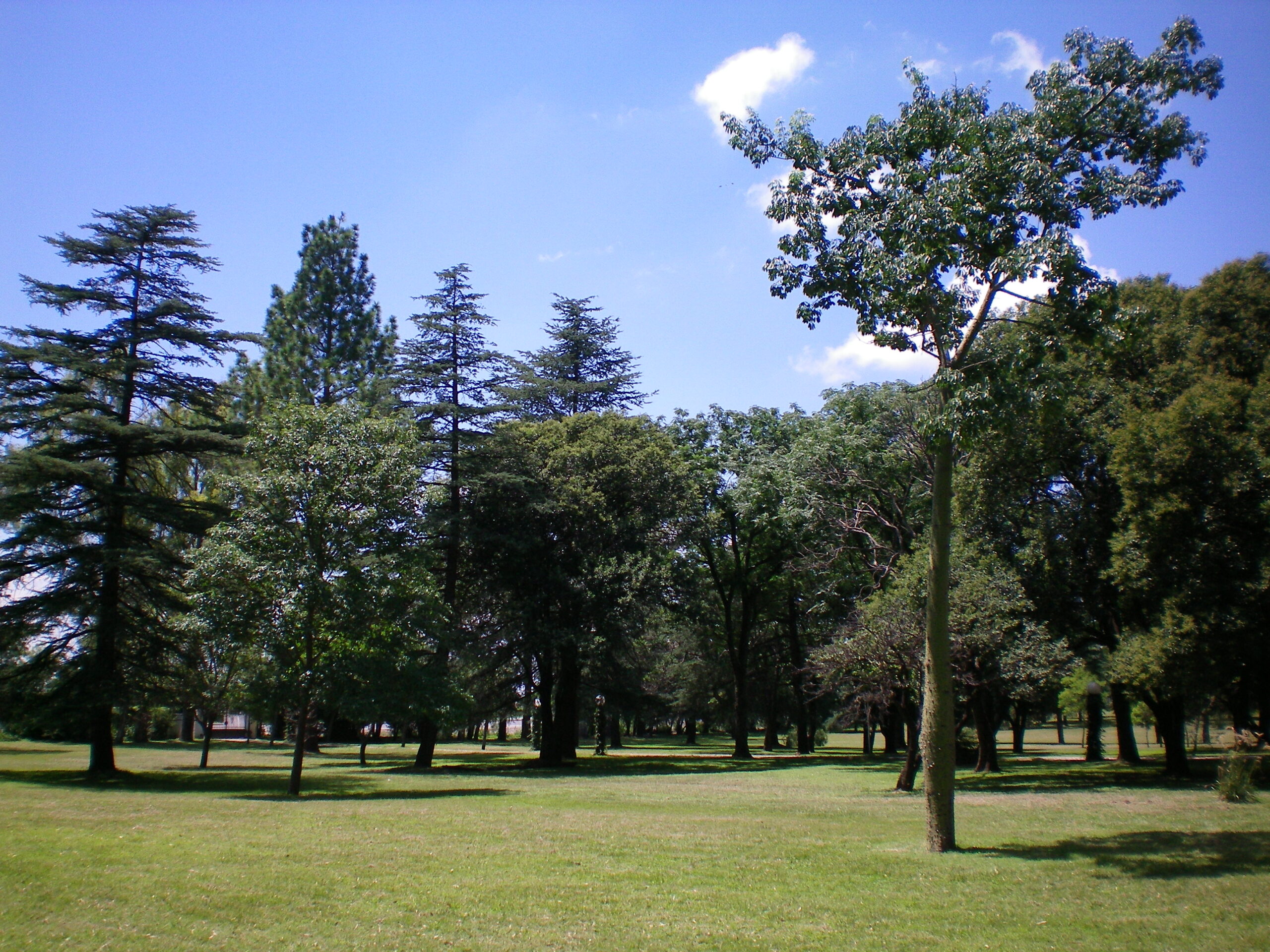 parque web (3)